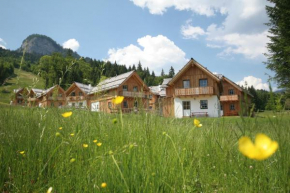 AlpenParks Hagan Lodge Altaussee, Altaussee, Österreich